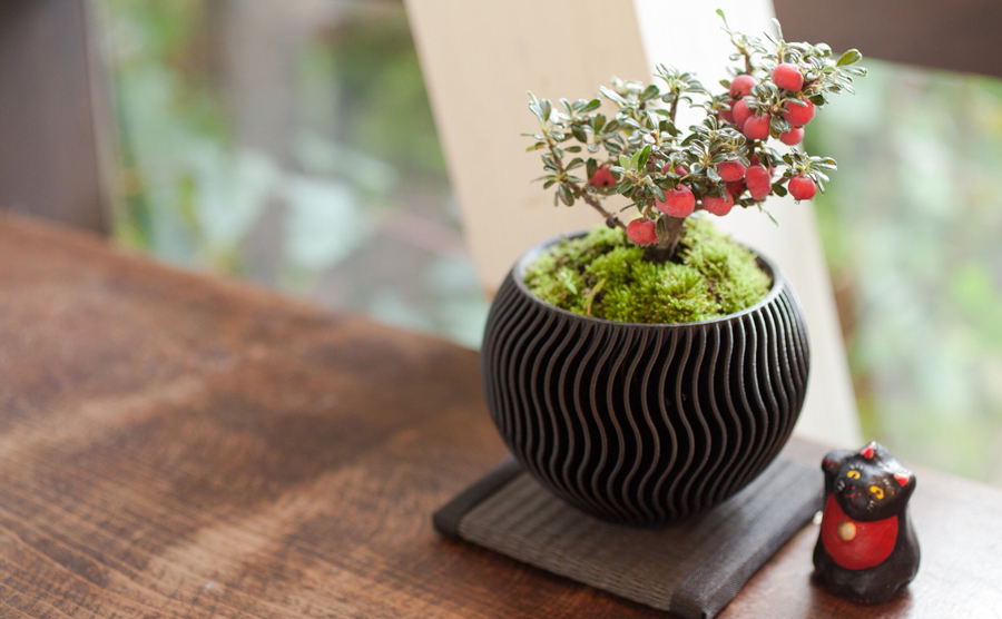 flower_pot_01